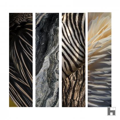 African feathers - composition de 4 verticalités qui vous emmène dans les terres lointaines de l'Afrique