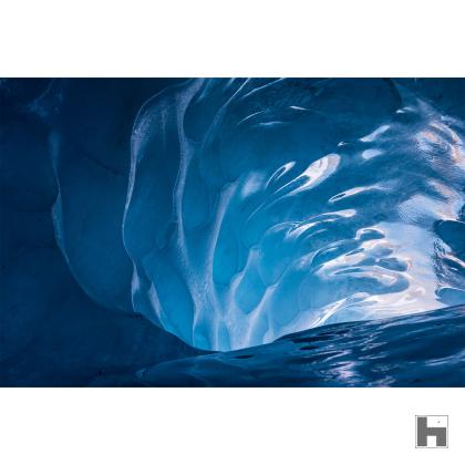 Foto Coquille de Glace