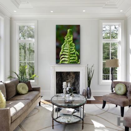 "SÔfia", reconnection with nature