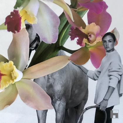 art visuel,collage analogique,poésie visuelle