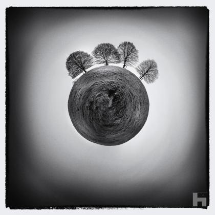 Photographie artistique de Paul Marnef – cinq arbres penchés sur une planète circulaire dans un paysage silencieux et méditatif, tirage en édition limitée