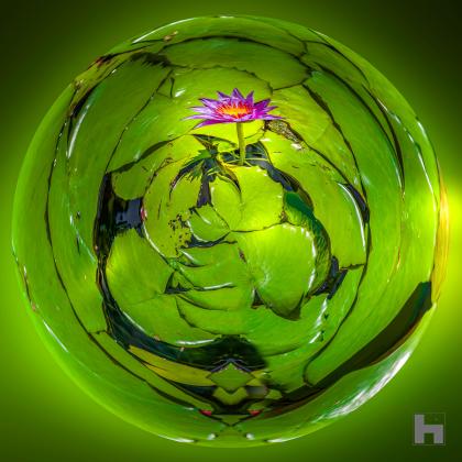 Photographie artistique "Nénuphar de Lumière" de Paul Marnef, montrant un nénuphar éclatant dans un univers vert abstrait, issue de la série "Planètes Imaginaires", disponible en finition Chromaluxe et en édition limitée.