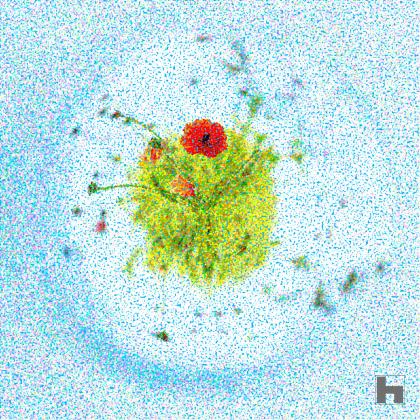 photo de type mini planète d'un cocquelicot en pointillisme