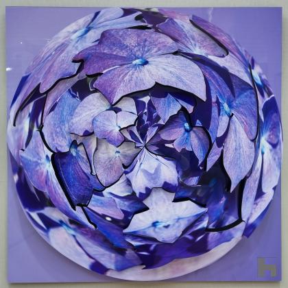 Une oeuvre photographique en relief, imprimée en Chromaluxe, découpée au laser et ensuite remontée sur des plots. Elle montre des hortensias violets en photo mini planète