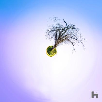 "L'Arbre Flottant" par Paul Marnef, un arbre solitaire sur une planète verte avec un dégradé violet-bleu, faisant partie de la série "Planètes Imaginaires"