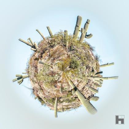 Œuvre intitulée "Monde Aride" de Paul Marnef, montrant une planète sphérique couverte de cactus dans un environnement désertique.