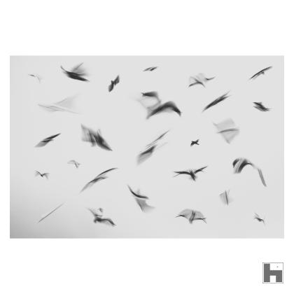 Flight Pattern est le résultat de la fusion d'un grand nombre de photos d'oiseaux en vol dans un ciel nuageux. 