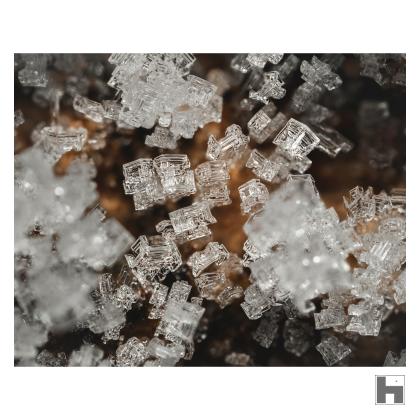 Photo macro de cristaux de givre posés sur un tronc d'arbre.