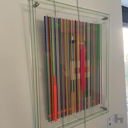 The Painter 3D Framed